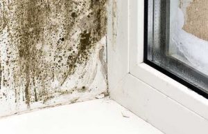 Salt Lake City Home Inspection